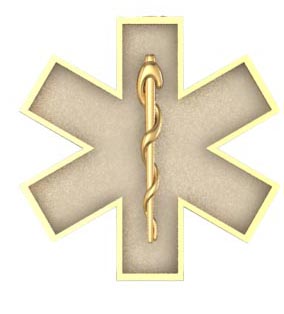 EMS Star of Life Earring - Small Size 1