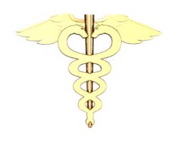 Medical Caduceus Earring - Small Size 1